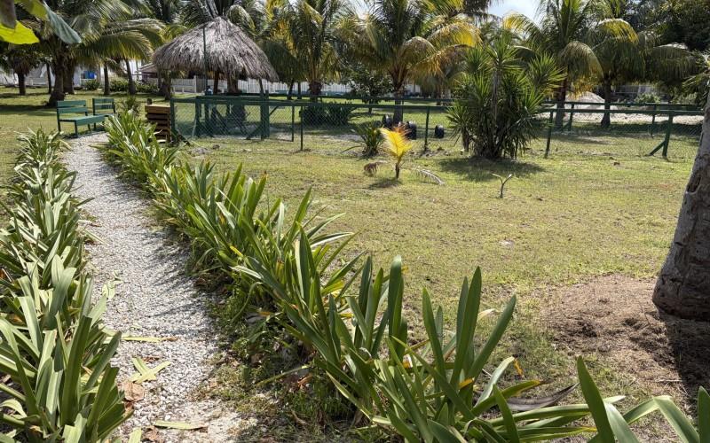 listing image with ID 70470