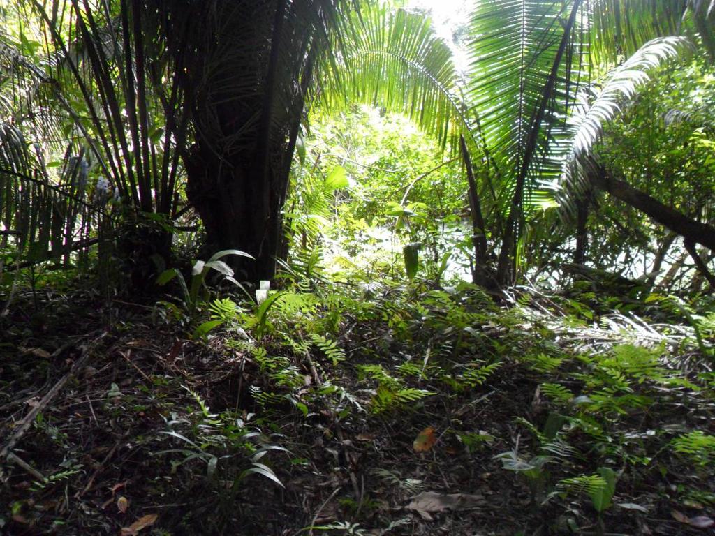 listing image with ID 70134