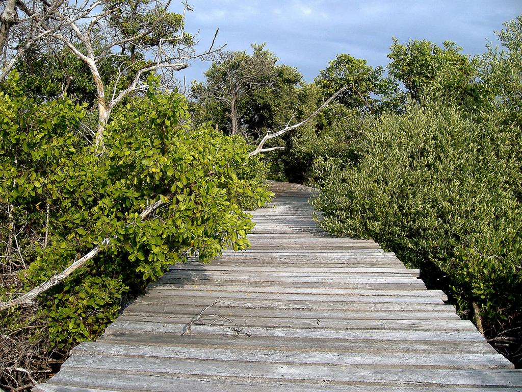 listing image with ID 71000