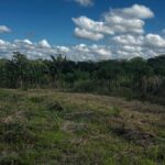 listing image thumbnail with ID 70957