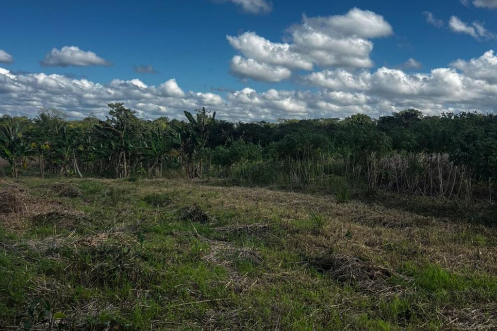 listing image with ID 70957