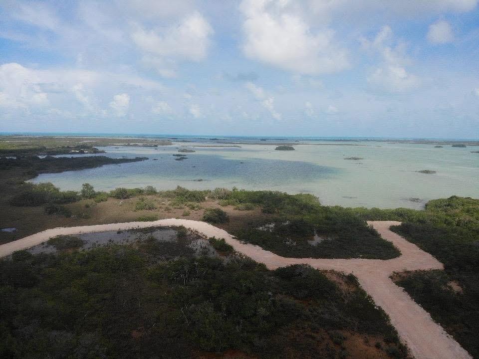 listing image with ID 69735