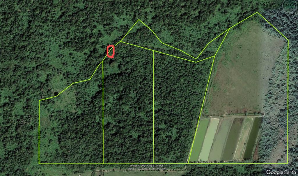 listing image with ID 69953