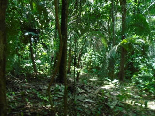 listing image with ID 70095