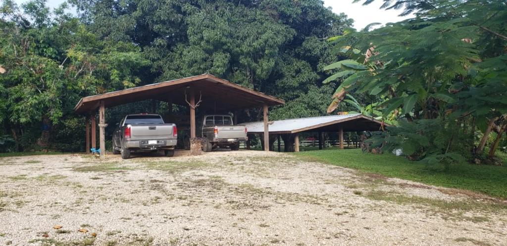 listing image with ID 70914