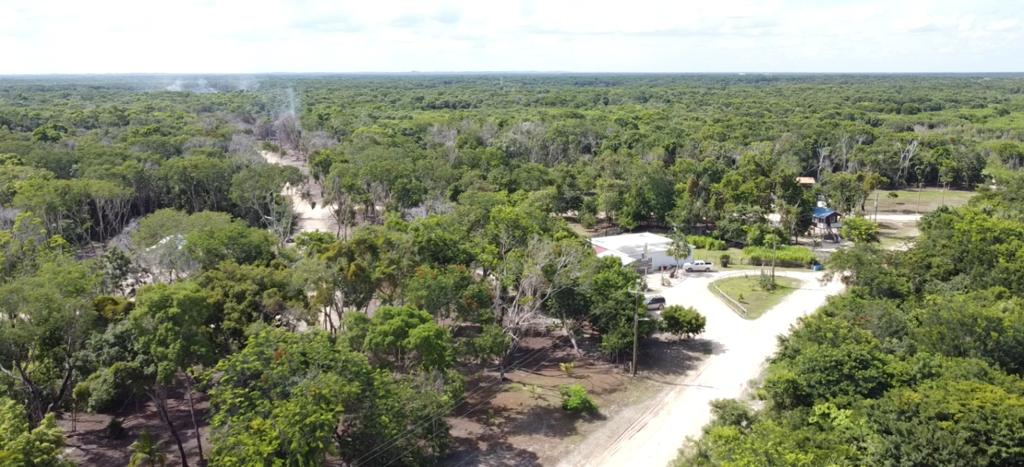 listing image with ID 69748