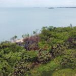 listing image thumbnail with ID 69728