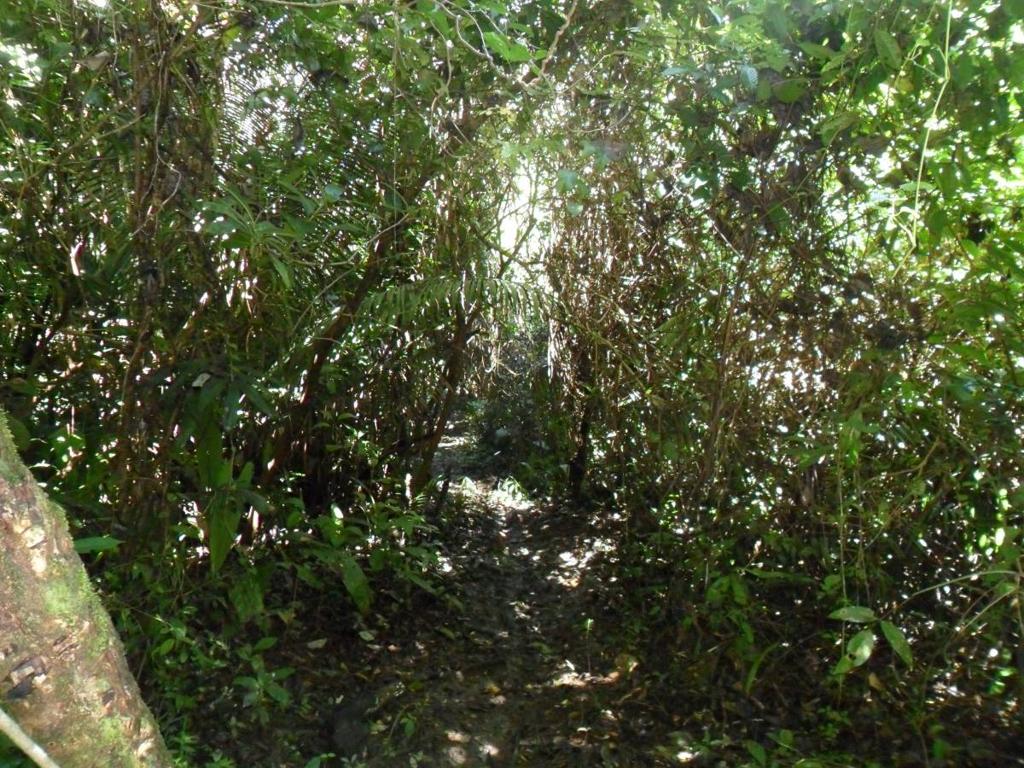 listing image with ID 70125