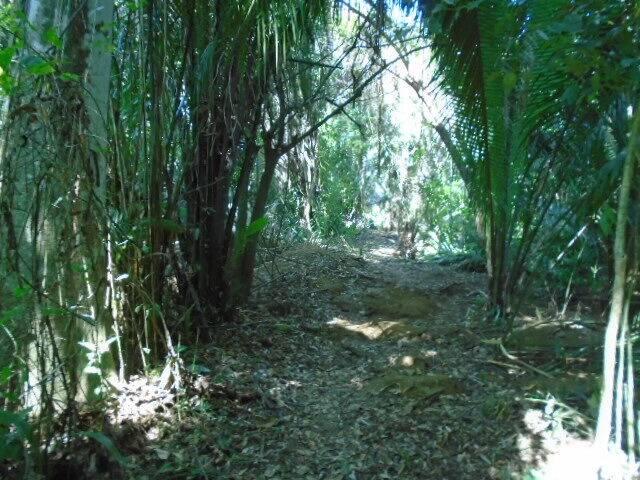 listing image with ID 70163