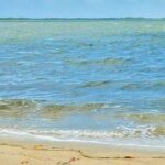 listing image thumbnail with ID 69511