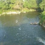 listing image thumbnail with ID 70217