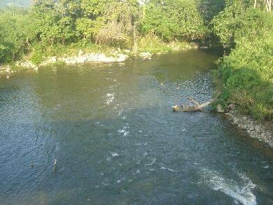 listing image with ID 70217