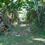 listing image thumbnail with ID 70141