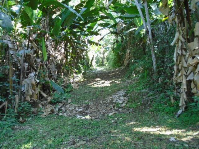 listing image with ID 70141