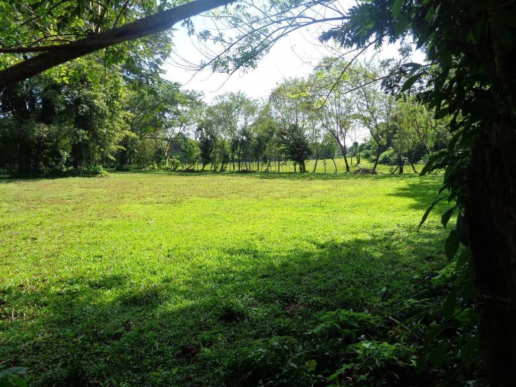 listing image with ID 70302