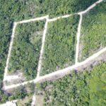 listing image thumbnail with ID 69765