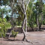 listing image thumbnail with ID 69746