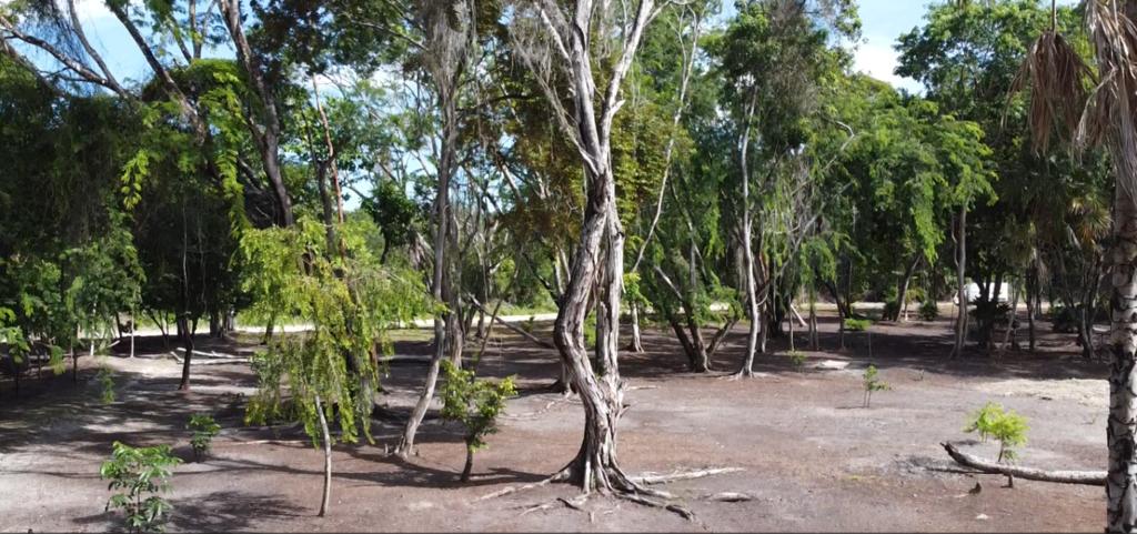 listing image with ID 69746