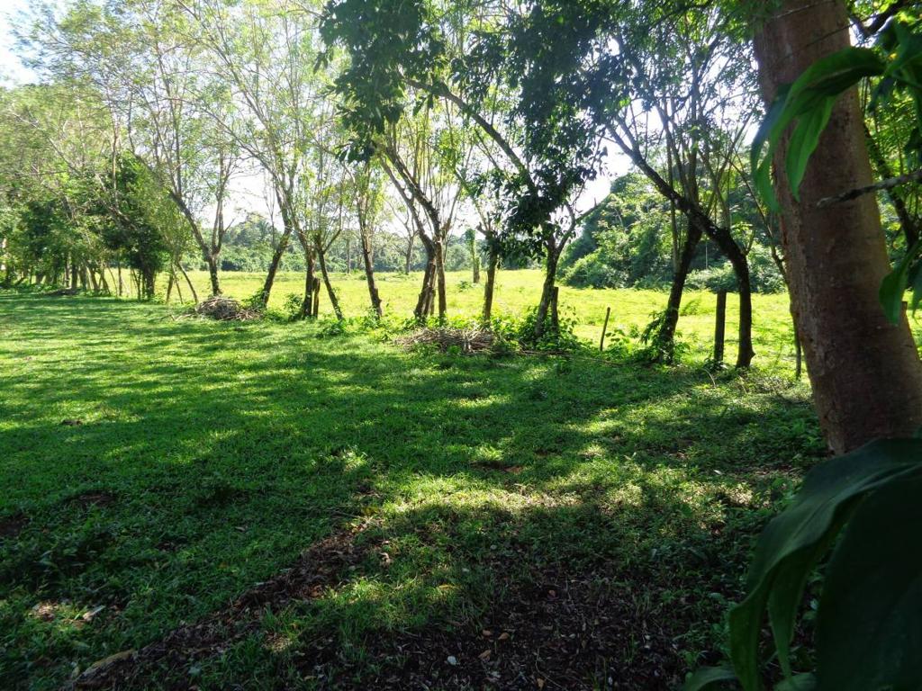 listing image with ID 70308