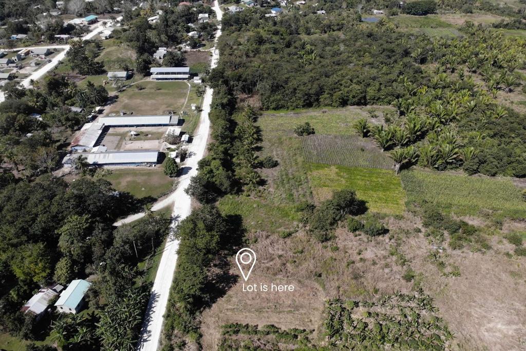 listing image with ID 70955