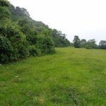 listing image thumbnail with ID 70313