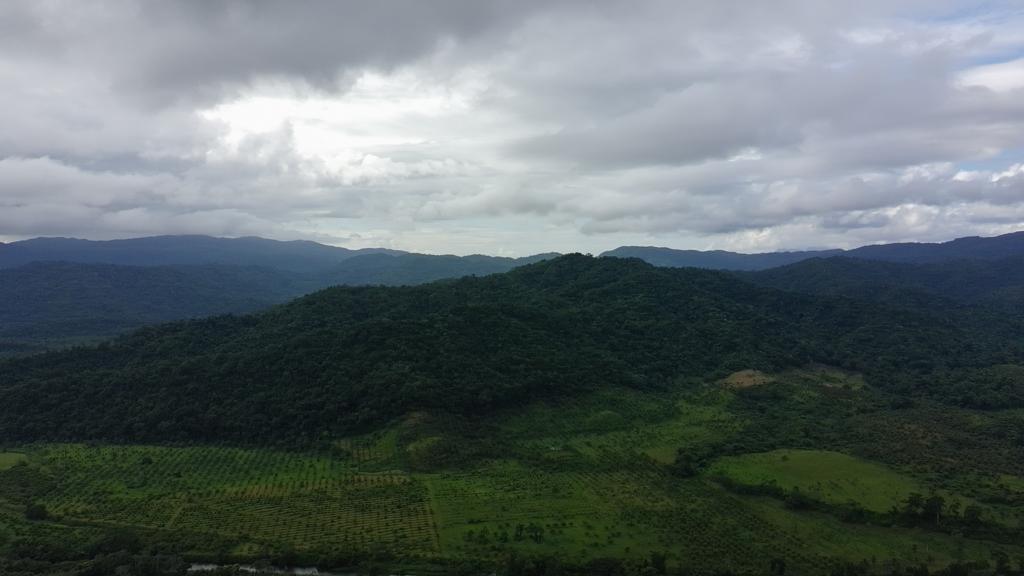 listing image with ID 69936