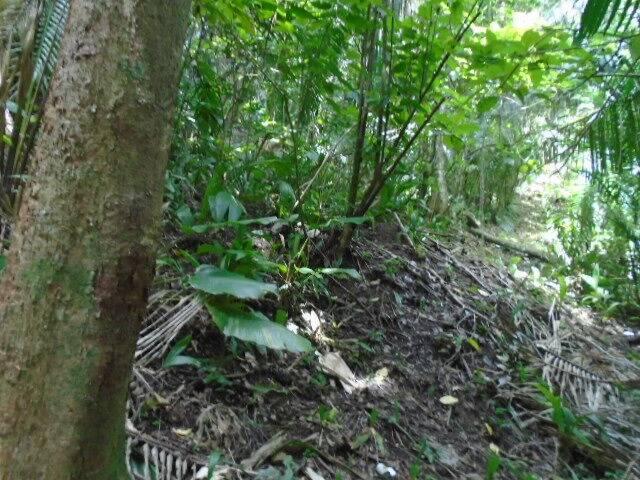 listing image with ID 70105