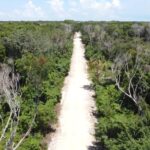 listing image thumbnail with ID 69750