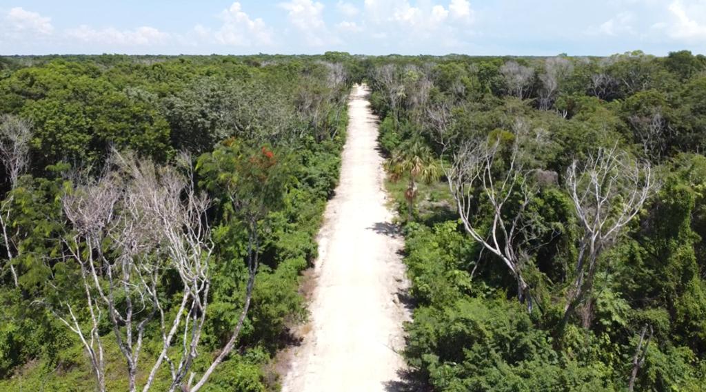 listing image with ID 69750