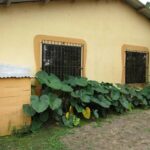 listing image thumbnail with ID 70323