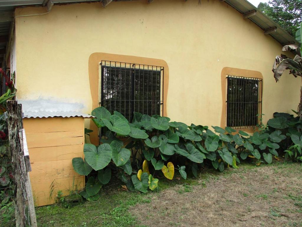 listing image with ID 70323