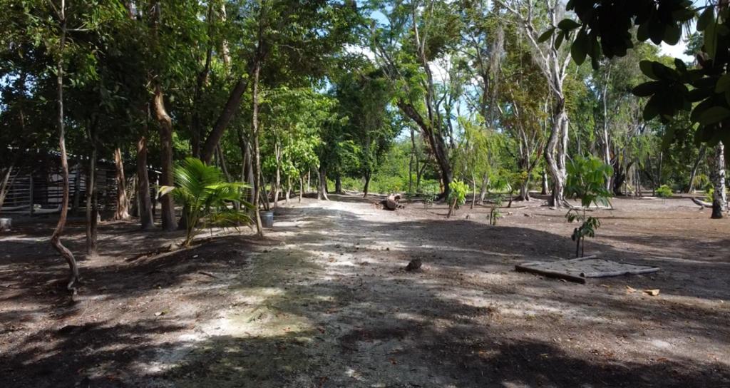 listing image with ID 69769