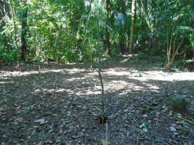 listing image with ID 70139