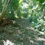 listing image thumbnail with ID 70143