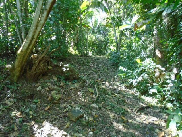 listing image with ID 70143