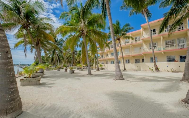 listing image with ID 70582