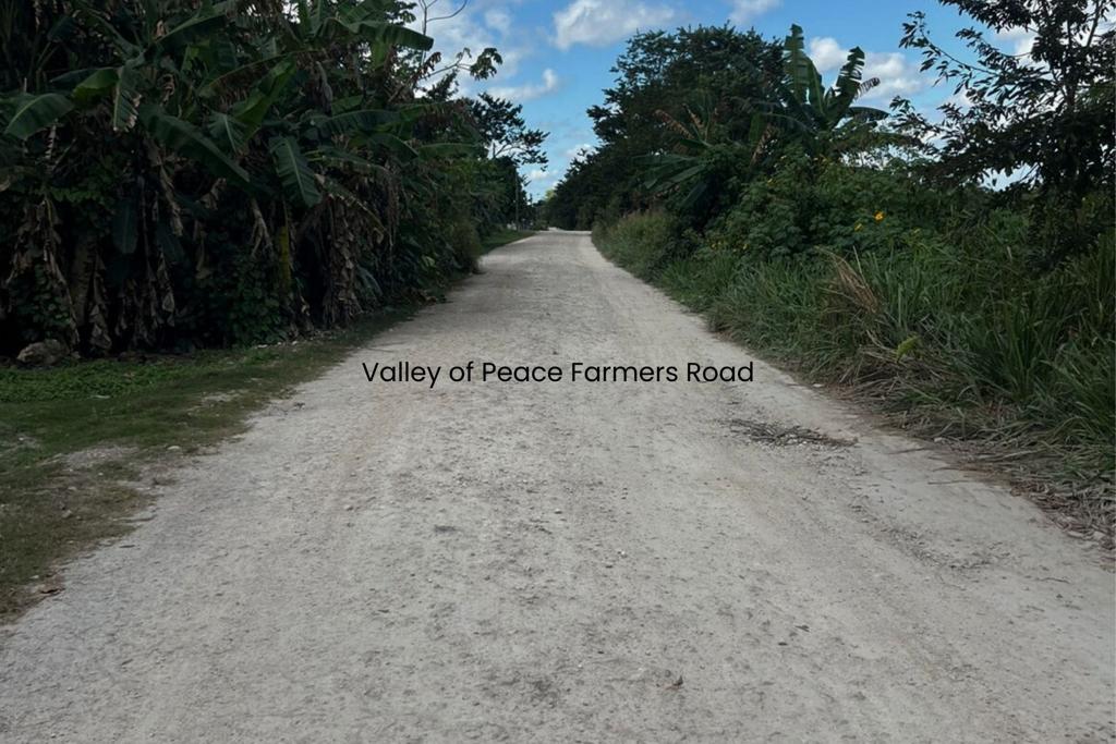 listing image with ID 70958