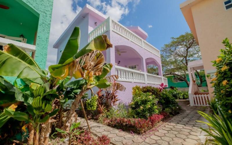 listing image with ID 70628