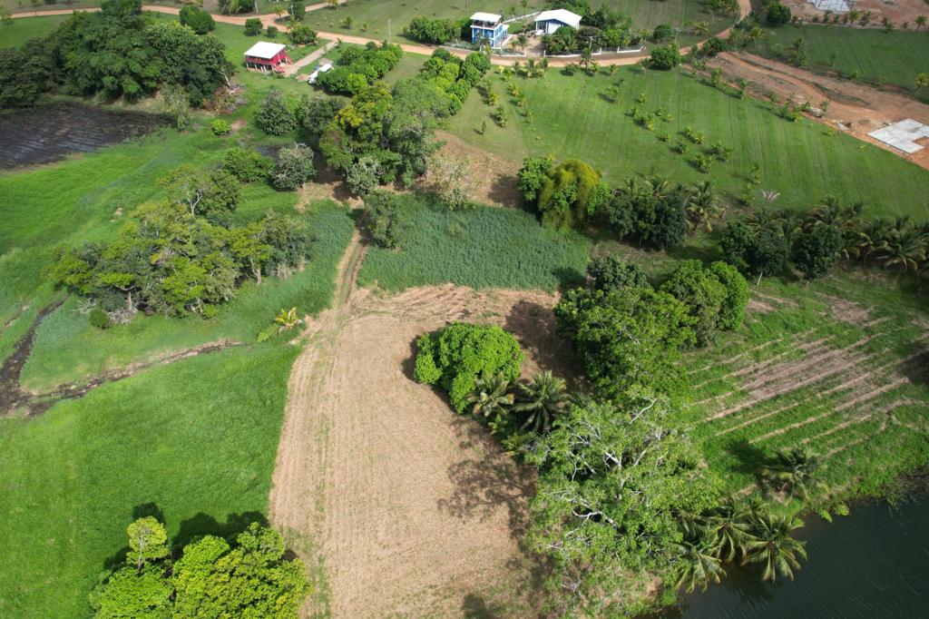 listing image with ID 69789