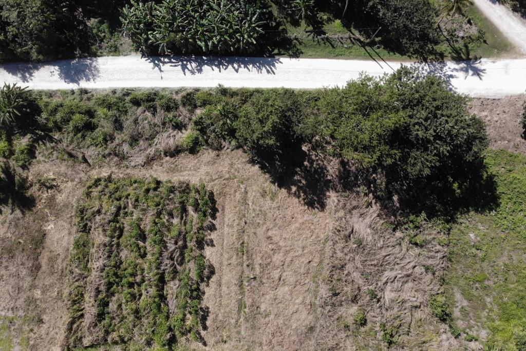 listing image with ID 70956