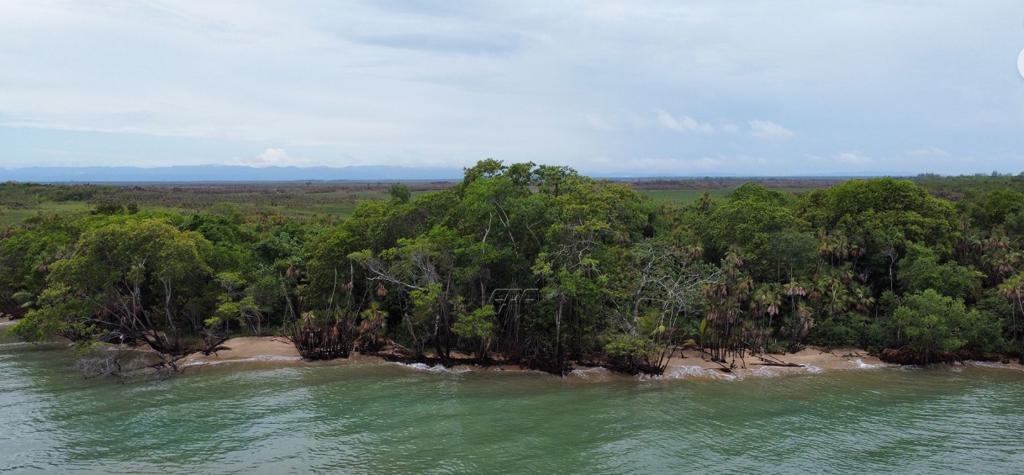 listing image with ID 69729