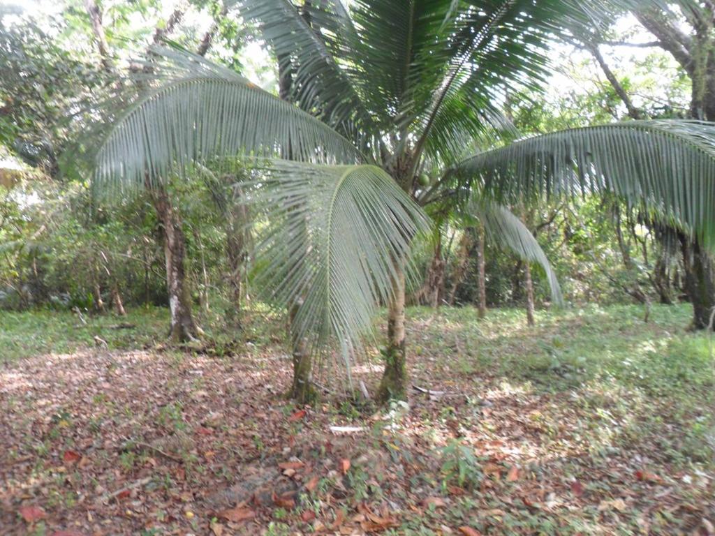 listing image with ID 70063