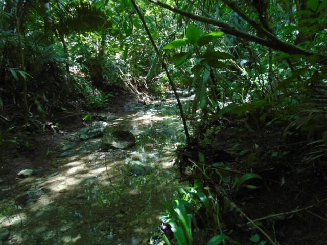 listing image with ID 70104