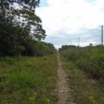 listing image thumbnail with ID 70150