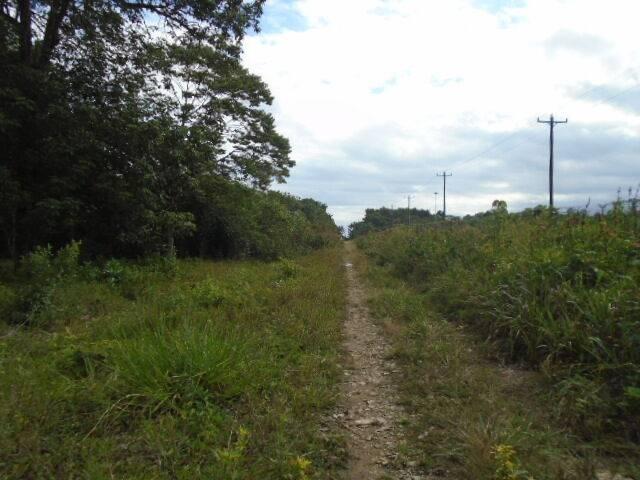 listing image with ID 70150