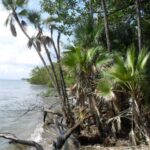 listing image thumbnail with ID 70081