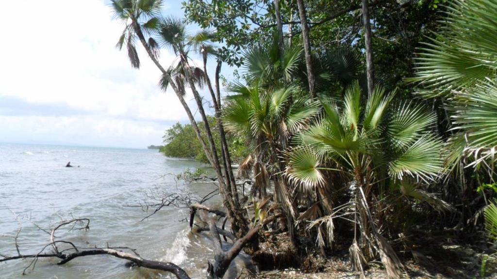 listing image with ID 70081