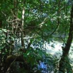 listing image thumbnail with ID 70156