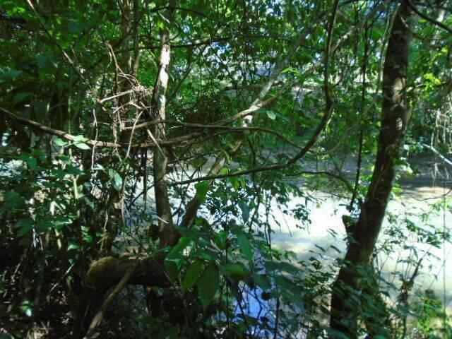 listing image with ID 70156