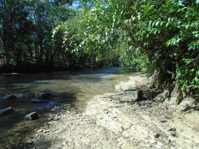 listing image with ID 70137